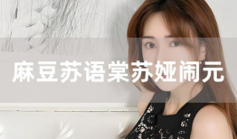 麻豆闹元宵,麻豆欢腾共庆团圆夜